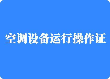 大鸡吧直插逼视频制冷工证